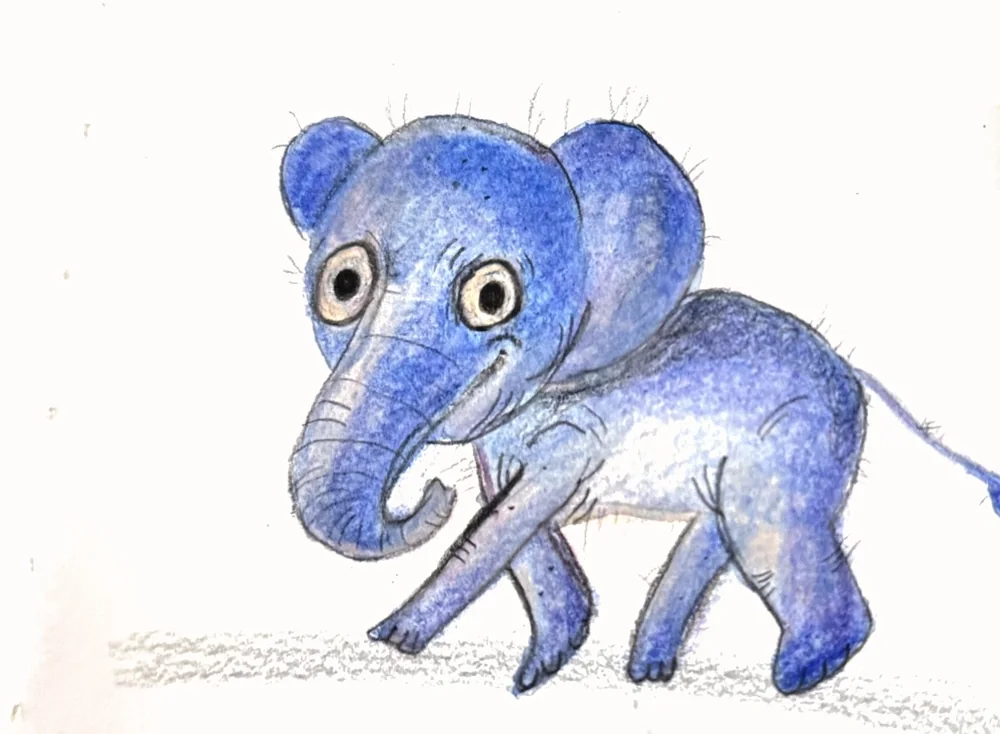 Little elephant · Chloe