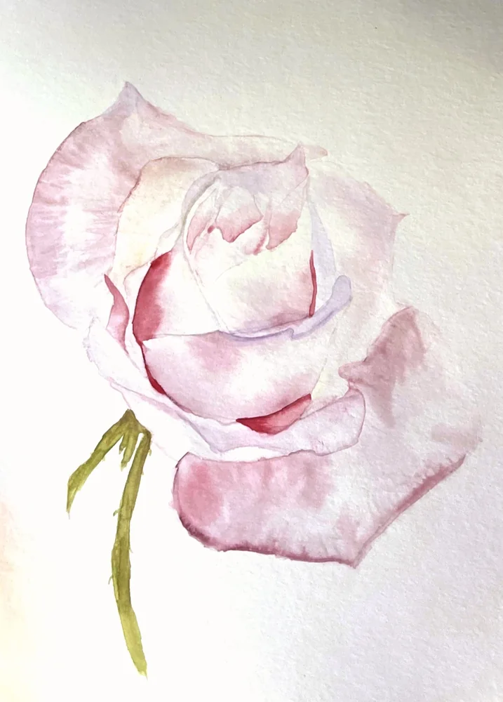 Rose · Chloe